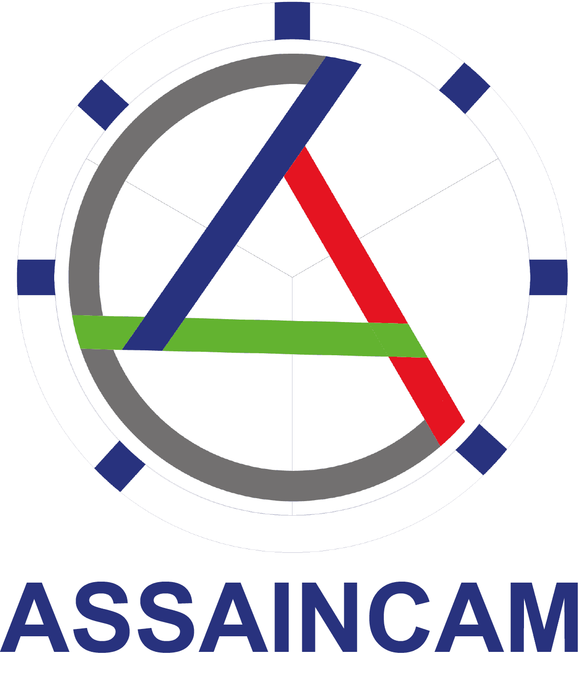 Logo Assaincam